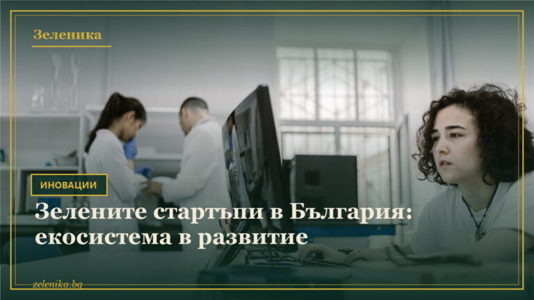 Зелените стартъпи в България: екосистема в развитие