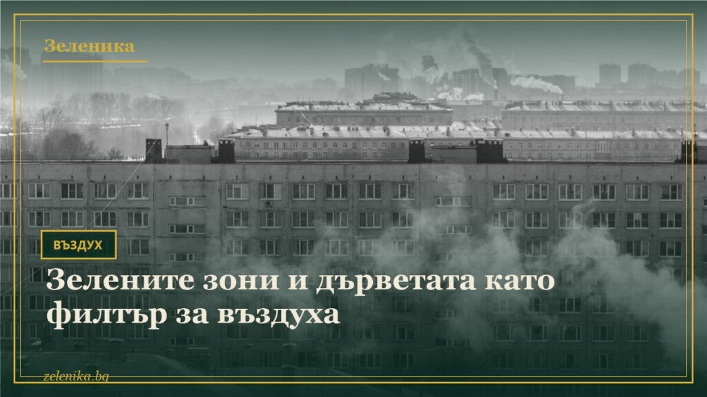 Зелените зони и дърветата като филтър за въздуха