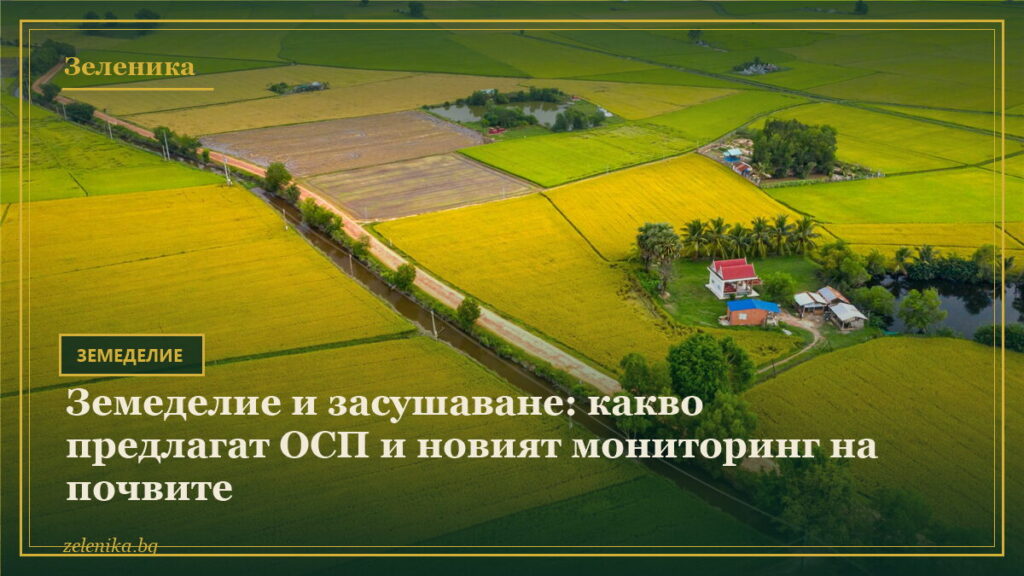 Земеделие и засушаване: какво предлагат ОСП и новият мониторинг на почвите