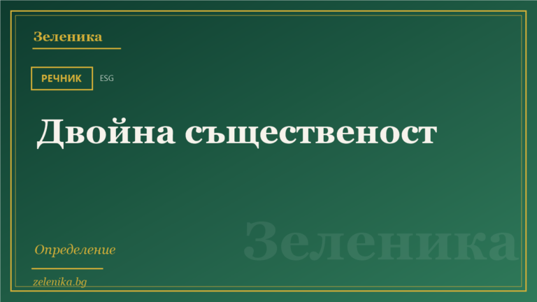 Двойна същественост: определение