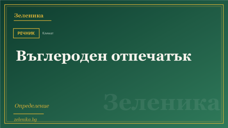 Въглероден отпечатък: определение