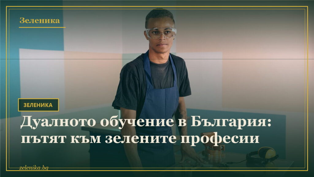 Дуалното обучение в България: пътят към зелените професии