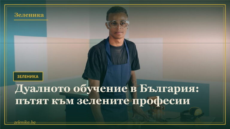 Дуалното обучение в България: пътят към зелените професии
