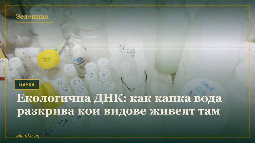 Екологична ДНК: как капка вода разкрива кои видове живеят там