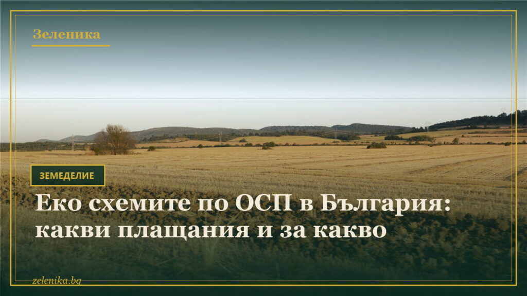 Еко схемите по ОСП в България: какви плащания и за какво