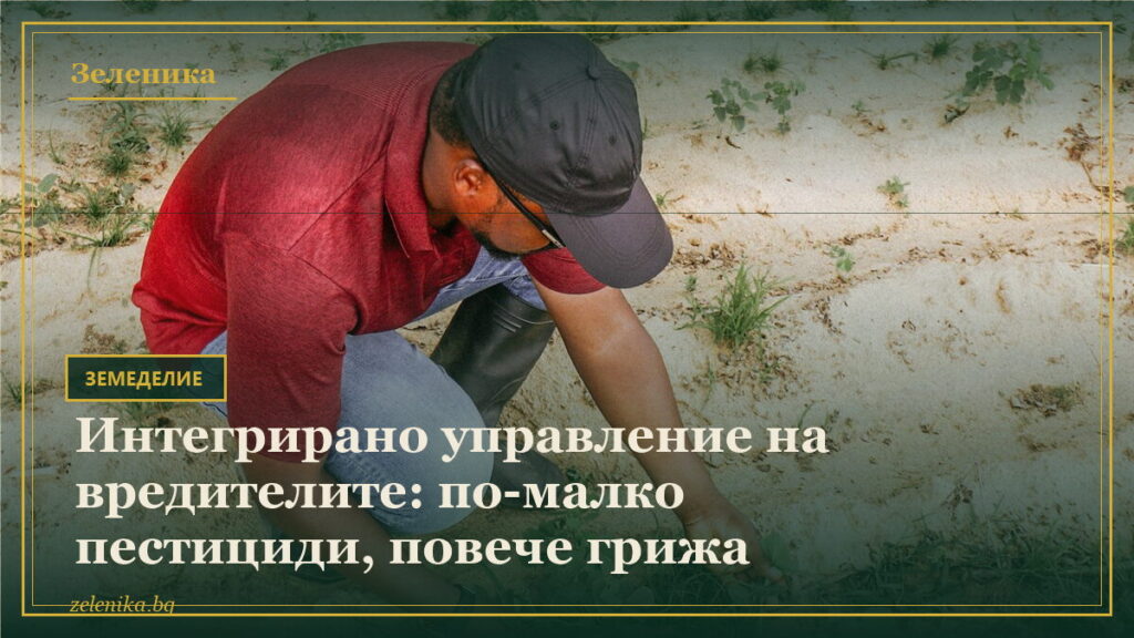 Интегрирано управление на вредителите: по-малко пестициди, повече грижа