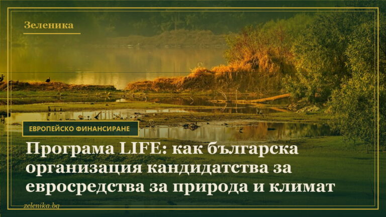 Програма LIFE: как българска организация кандидатства за евросредства за природа и климат