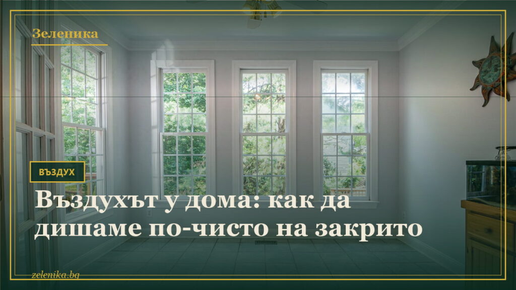 Въздухът у дома: как да дишаме по-чисто на закрито